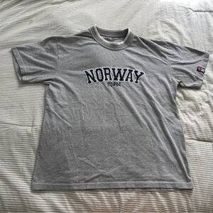 Gray Norway Graphic T-Shirt